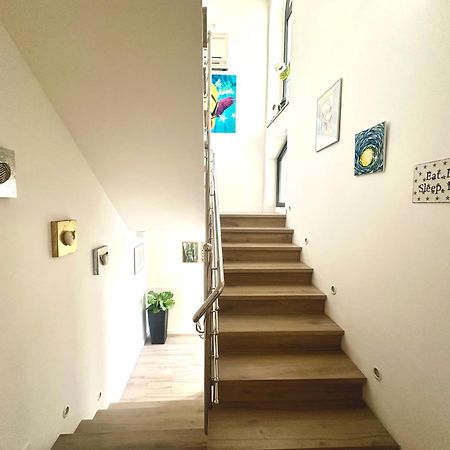 Nikola Apartmani 茨里克韦尼察 外观 照片